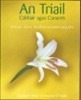 AN TRIAIL LEABHAR NOTAI